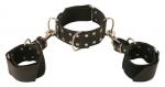 Ledapol - Echt Leder Bondage Halsband und Armfessel-Set mit Nieten schwarz - Gr. S-L