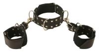 hier klicken für eine vergrösserte Darstellung von Ledapol - Echt Leder Bondage Halsband und Armfessel-Set mit Nieten schwarz - Gr. S-L