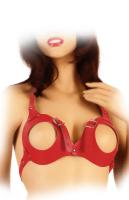 hier klicken für eine vergrösserte Darstellung von Ledapol - Echt Leder Neckholder Harness BH ouvert