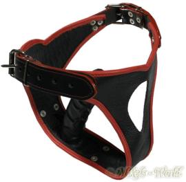 Ledapol - Echt Leder Dildo / Penis Slip schwarz-rot