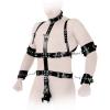 Ledapol - Echt Leder Harness Fessel-Body mit Halsband schwarz - Gr. S