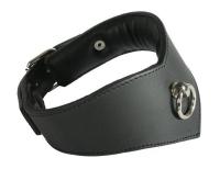 hier klicken für eine vergrösserte Darstellung von Ledapol - Echt Leder Bondage Halsband mit Ring gepolstert schwarz - Gr. S-L